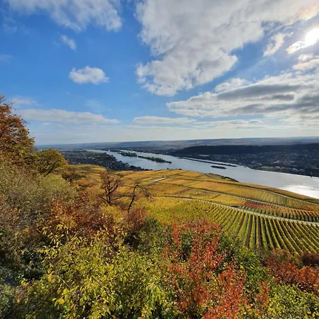 Einzigartiges Angebot - Maisonette Mit Balkon & Parkplatz, Zentral & Ruhig Daire Rüdesheim am Rhein